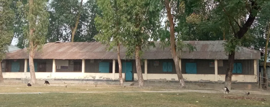 নুনখাওয়া হাই স্কুল