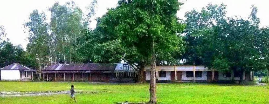 দলদলিয়া আদর্শ উচ্চ বিদ্যালয়