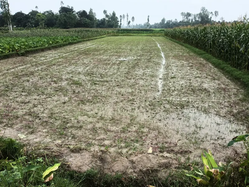 ২১ শতক কৃষি জমি বিক্রয়