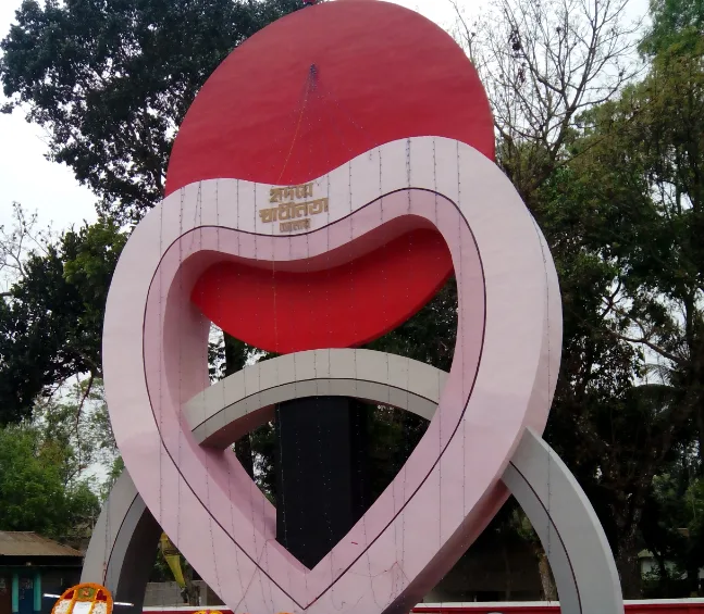 ডোমার