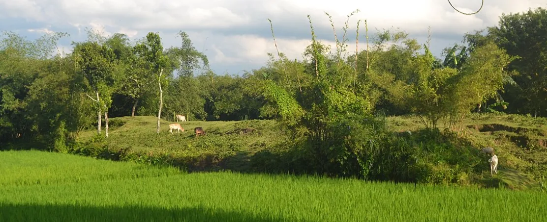 জলঢাকা