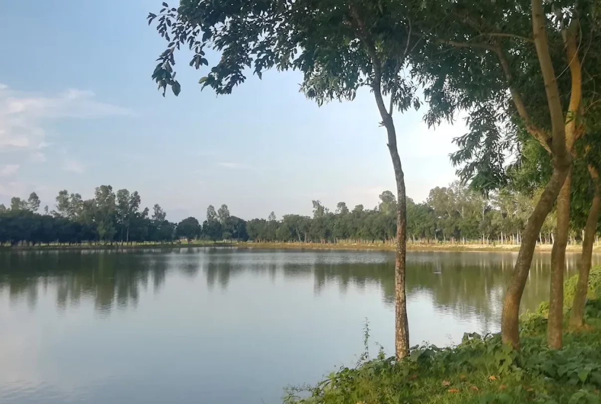 জিয়া পুকুর